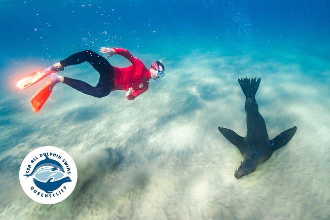 Seal & Dolphin Swim Tour - Rental Equipment