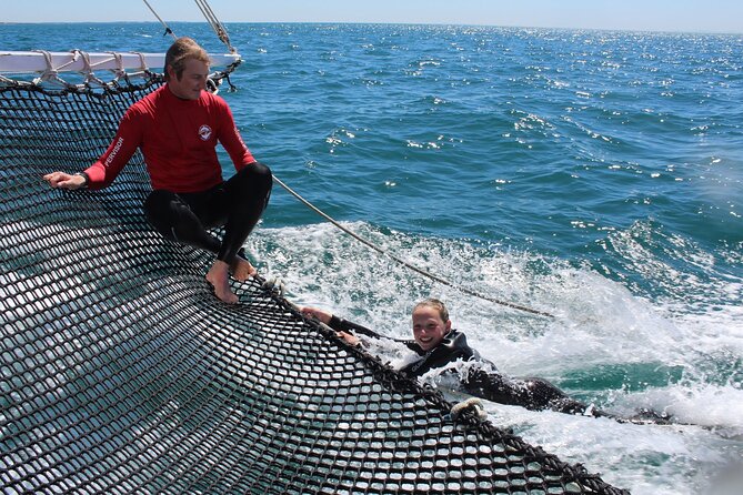 Seal & Dolphin Swim Tour - Booking and Payment