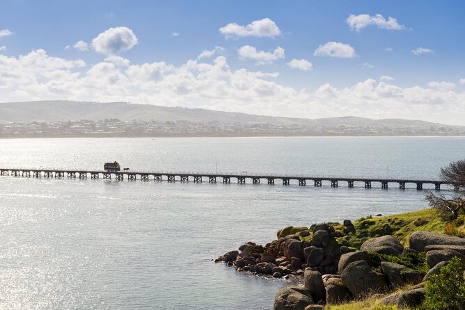 Seal Island Boat Tour From Victor Harbor - Boat Specifications
