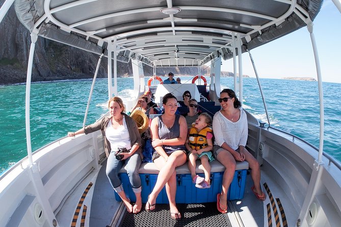 Seal Island Boat Tour From Victor Harbor - Tour Itinerary