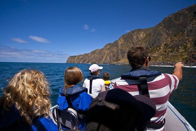 Seal Island Boat Tour From Victor Harbor - Departure Location