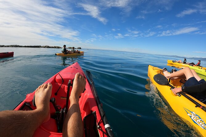 Seal Kayaking Adventure in Kaikoura - Tour Details and Options