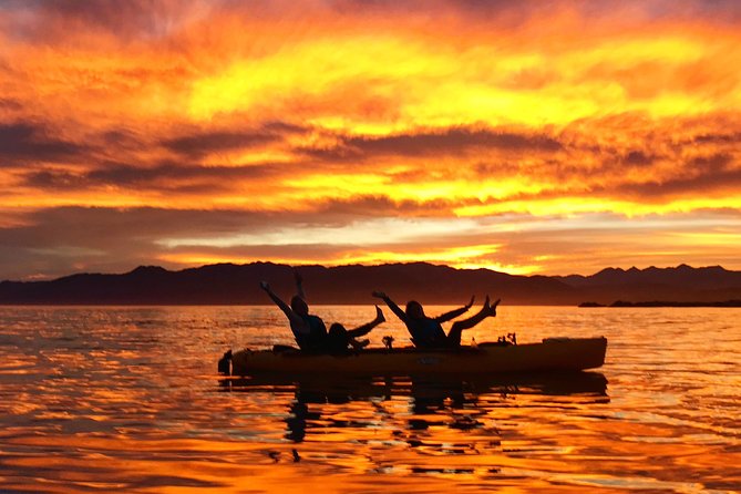 Seal Kayaking Adventure in Kaikoura - Booking and Weight Restrictions