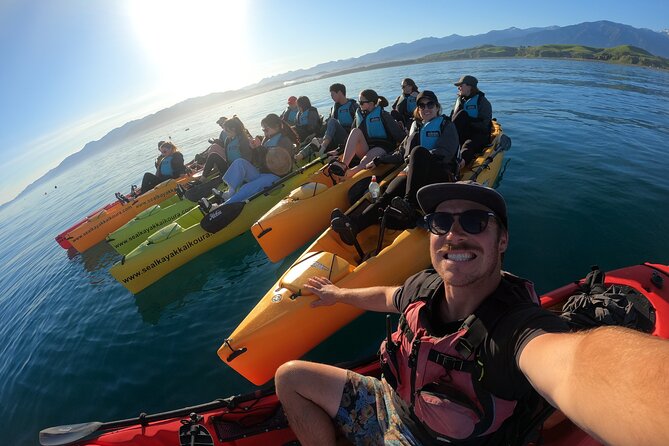 Seal Kayaking Adventure in Kaikoura - Customer Feedback on Experience