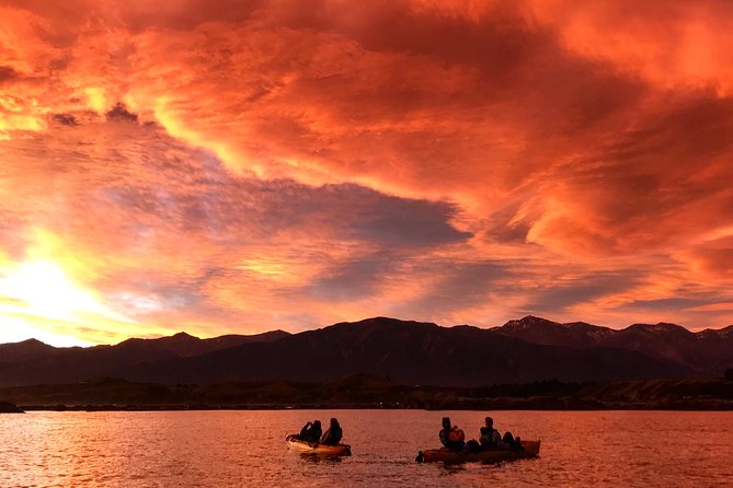 Seal Kayaking Adventure in Kaikoura - Knowledgeable Guides and Safety
