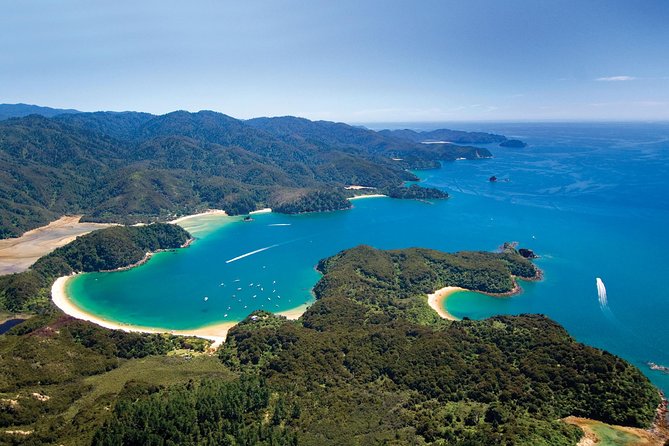 Seal Sanctuary Tour - Guided Kayaking - New Zealand - Meeting and Transport