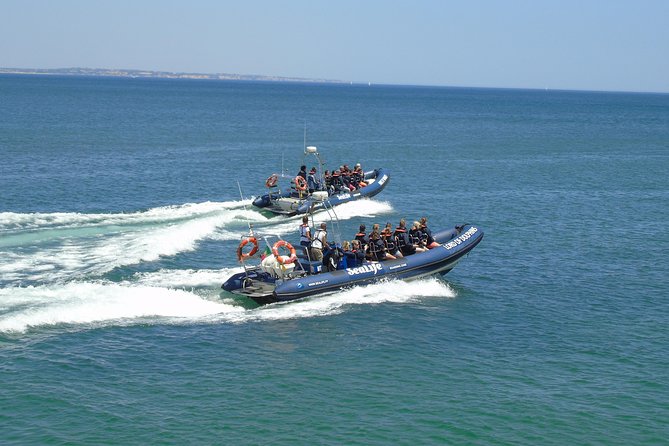 Sealife Sea Safari, Dolphin Watching With Marine Biologists Lagos - Cancellation and Refund Policy