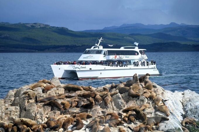 Sealing Through the Beagle Channel to the Lighthouse - Beagle Channel Scenery