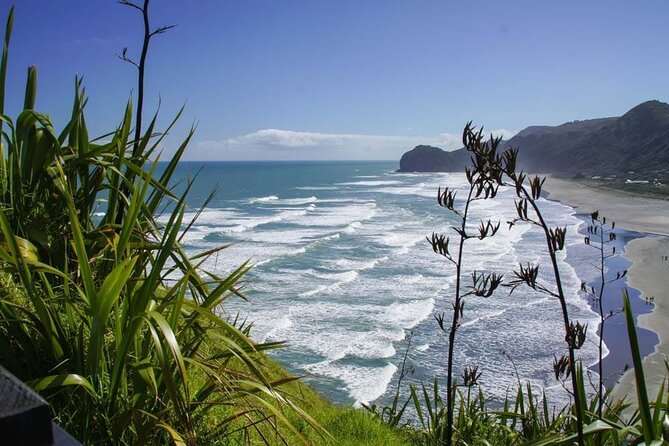 Seamless Auckland Airport Transfers to Auckland CBD - Vehicle and Driver Details