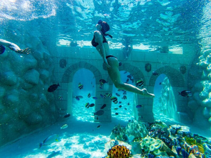 Seapark: Swimming in Pool Aquarium With Authentic Creatures - Snorkeling Experiences