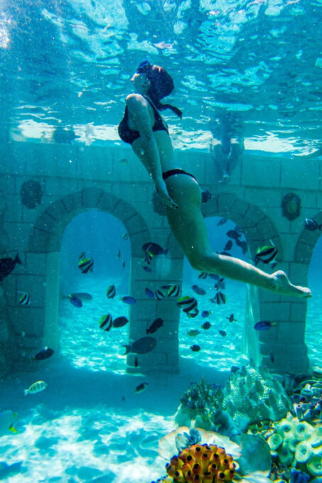 Seapark: Swimming in Pool Aquarium With Authentic Creatures - Freshwater Lazy River