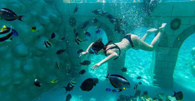 Seapark: Swimming in Pool Aquarium With Authentic Creatures - Amenities and Inclusions