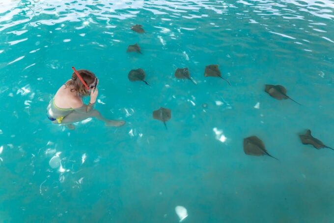 Seapark: Swimming in Pool Aquarium With Authentic Creatures - Frequently Asked Questions