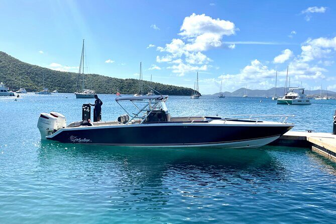 "Seas the Day!" Hop to iconic BVI islands and amazing snorkeling. - The Comfort and Convenience Factor