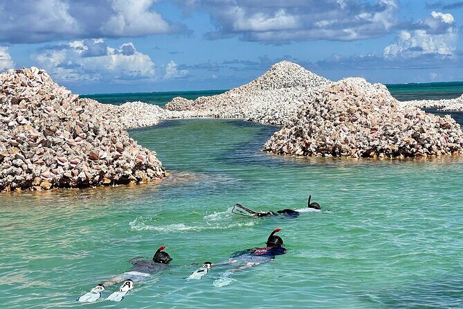 "Seas the Day!" Hop to iconic BVI islands and amazing snorkeling. - Who Will Love This Tour?