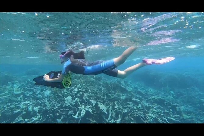 Seascooter Snorkeling Experience in Mangel Halto - About Your Stay