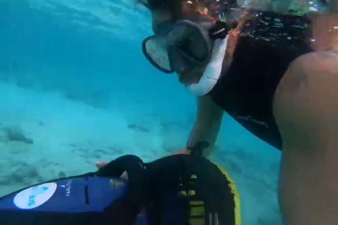 Seascooter Snorkeling Experience in Mangel Halto - Pickup and Transportation Options