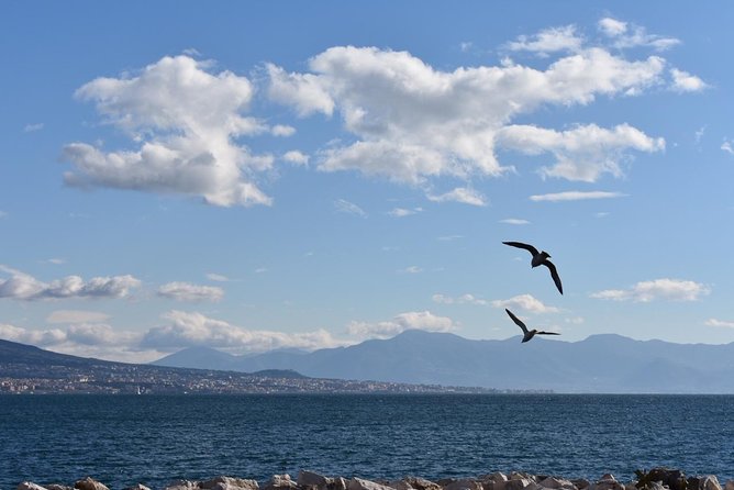 Seaside Naples Food Tour With Marina Promenade & Visit of Castel Dellovo - Pricing and Reviews