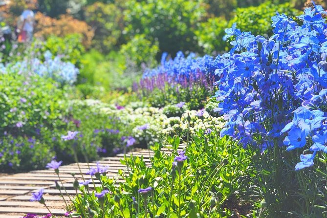 Seasonal Colors at Ashikaga Flower Park From Karuizawa - Key Points