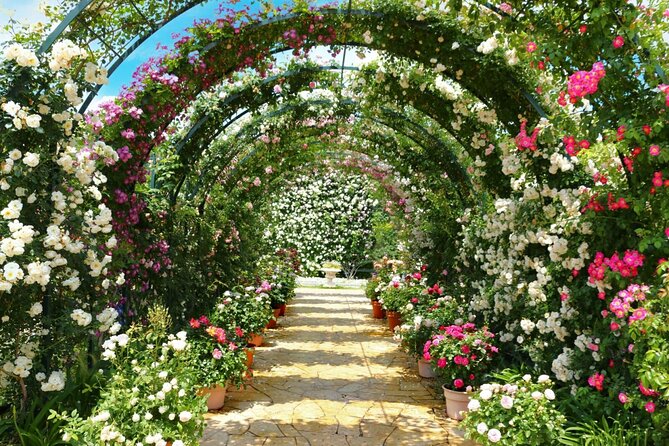 Seasonal Colors at Ashikaga Flower Park From Karuizawa - Exploring Ashikaga Flower Park