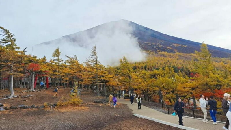 [Seasonal Limited] Mt. Fuji 5th Station &Hot Spring Day Tour - Relaxing at Konohananoyu Onsen: A mountain-view soak