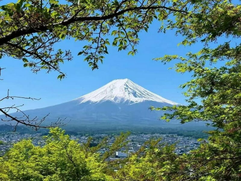 [Seasonal Limited] Mt. Fuji 5th Station &Hot Spring Day Tour - Practical considerations and tips