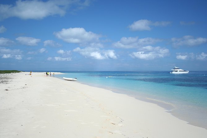Seastar Luxury Outer Great Barrier Reef Island and Reef Tour - Optional Extras