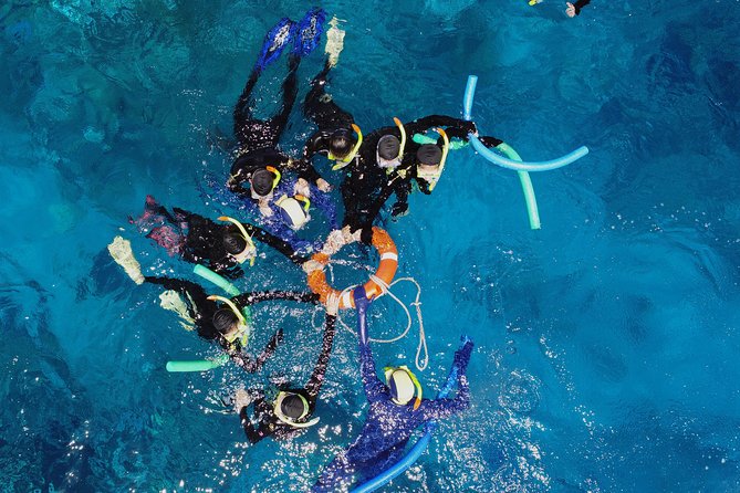 Seastar Luxury Outer Great Barrier Reef Island and Reef Tour - Booking and Cancellation