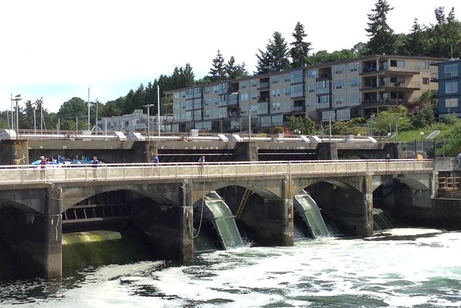 Seattle Ballard Locks, Gas Works Park and Houseboats Tour - Highlights of the Tour