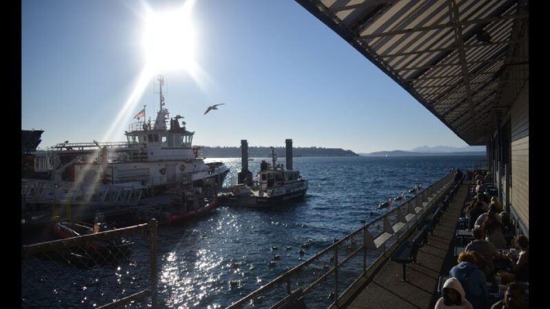 Seattle: City Walking Tour With Local Guide - Community Impact