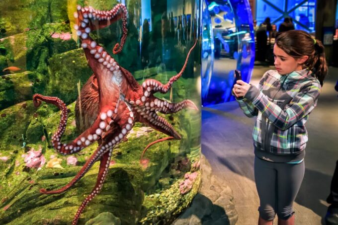Seattle: Citypass® With Tickets to 5 Top Attractions - Exploring Seattle With Citypass