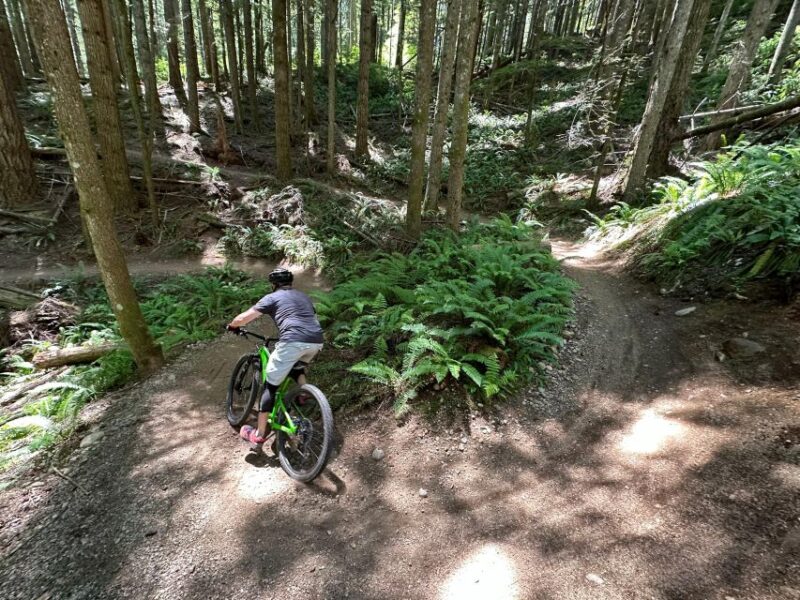 Seattle: Half Day All-Inclusive Mountain Bike Tour - Booking Information