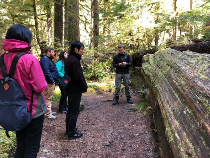 Seattle: Longmire in Mount Rainier Winter Day Tour - Tour Experience