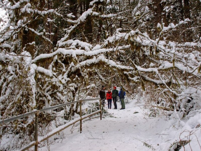 Seattle: Longmire in Mount Rainier Winter Day Tour - Included Amenities
