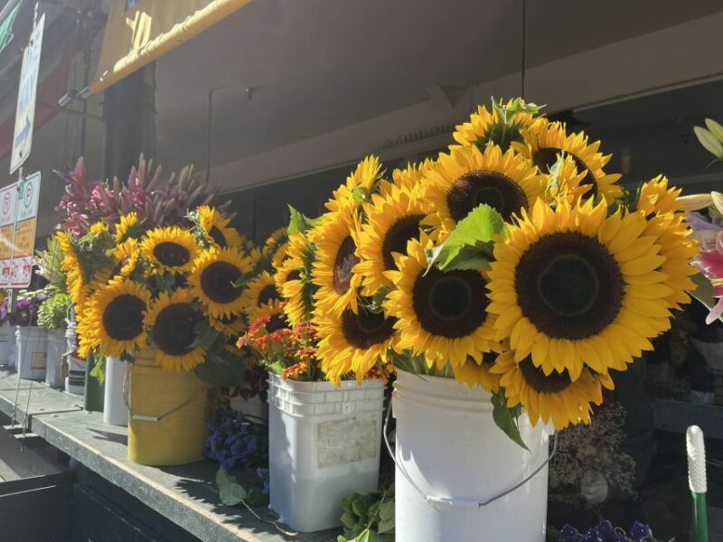 Seattle: Meet Me at the Market Food Tour - Who Will Enjoy This Tour?