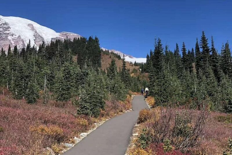 Seattle: Mount Rainier National Park 1-Day Tour - Pricing and Booking