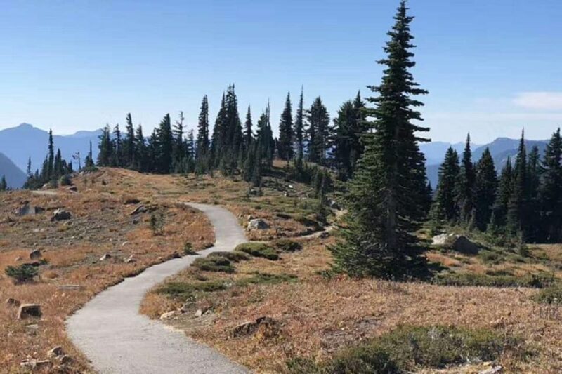 Seattle: Mount Rainier National Park 1-Day Tour - Summer Itinerary