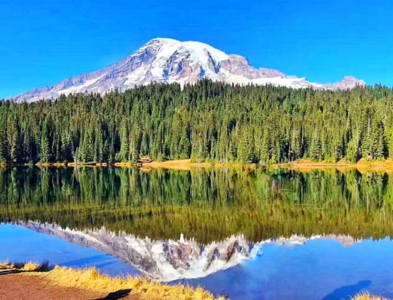 Seattle: Mount Rainier National Park 1-Day Tour - Mount Rainier Facts