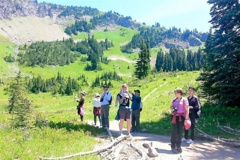 Seattle: Mount Rainier Park All-Inclusive Small Group Tour - Important Information