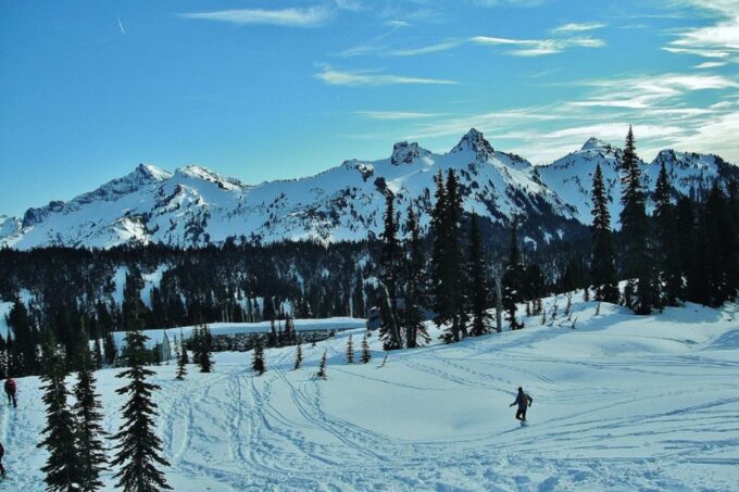 Seattle: Mount Rainier Park All-Inclusive Small Group Tour - Pickup and Drop-off