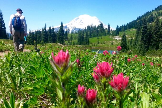 Seattle: Mount Rainier Park All-Inclusive Small Group Tour - Park Exploration