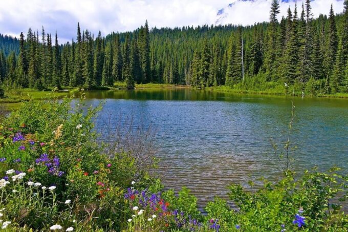 Seattle: Mount Rainier Park All-Inclusive Small Group Tour - Frequently Asked Questions
