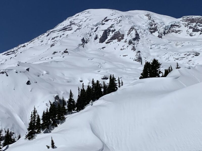 Seattle: Mt. Rainier Hiking W/ Waterfalls, Glaciers & Trees - Key Benefits of the Tour