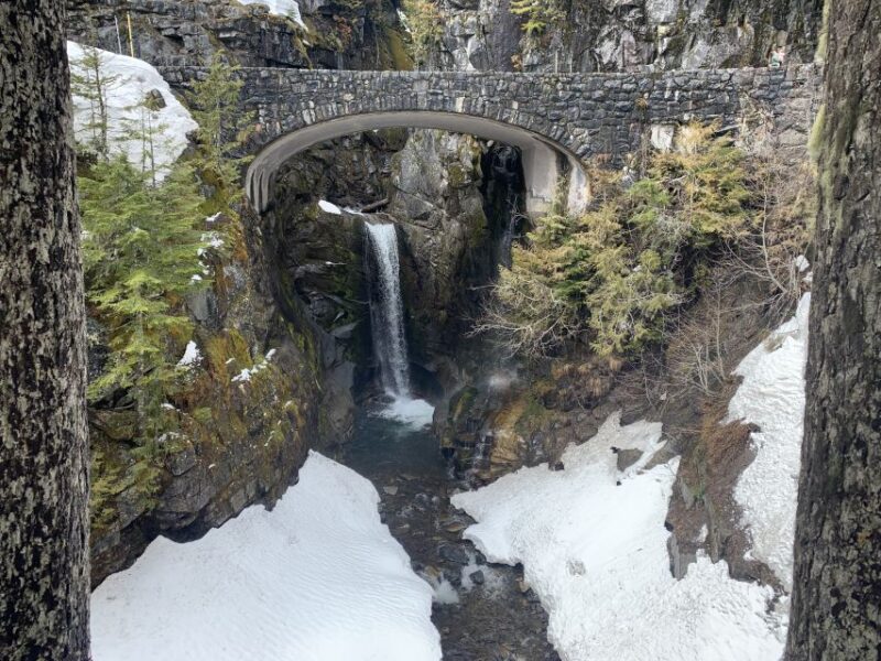 Seattle: Mt. Rainier Hiking W/ Waterfalls, Glaciers & Trees - Guided Hike With Knowledgeable Experts