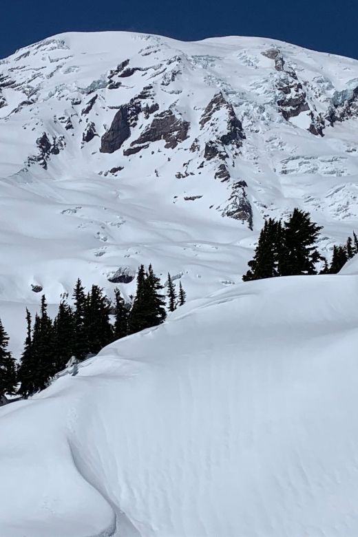 Seattle: Mt. Rainier Hiking W/ Waterfalls, Glaciers & Trees - Accessibility and Transportation Convenience