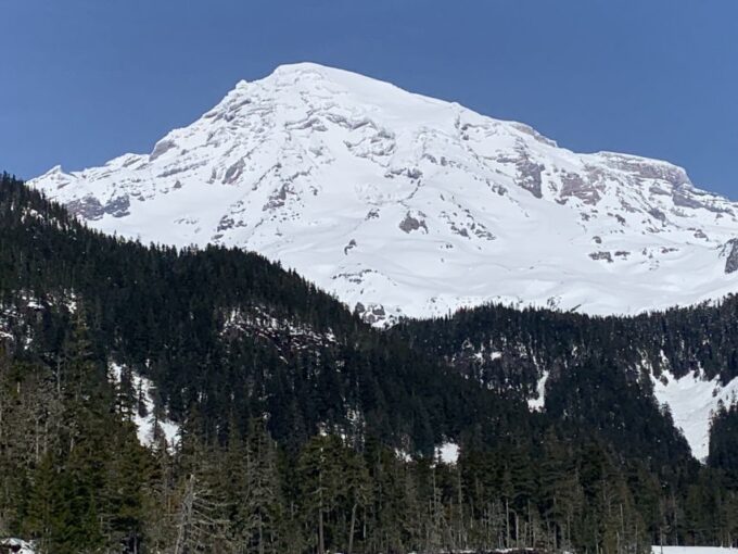 Seattle: Mt. Rainier Hiking W/ Waterfalls, Glaciers & Trees - Positive Customer Reviews and Ratings