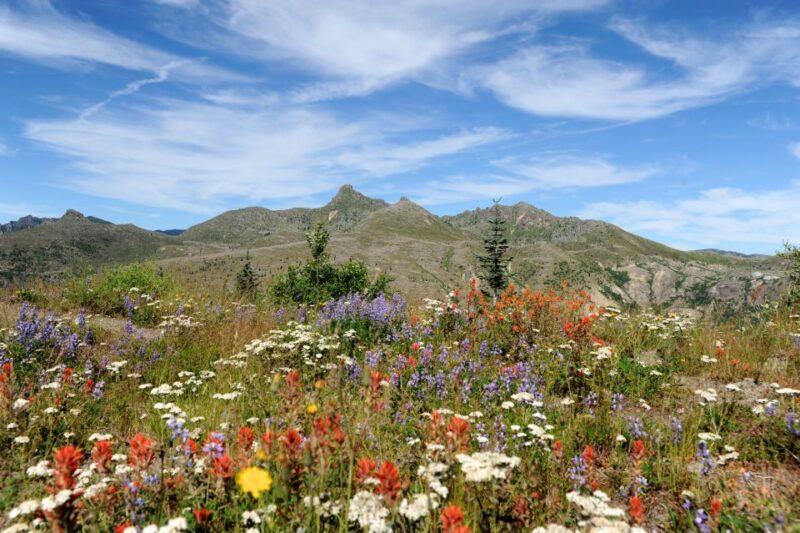 Seattle: Mt. St. Helens National Monument Small Group Tour - Inclusions
