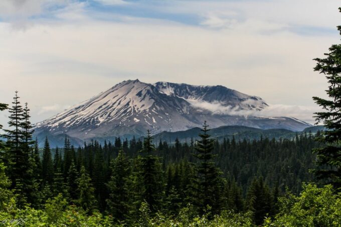 Seattle: Mt. St. Helens National Monument Small Group Tour - Pickup and Drop-off
