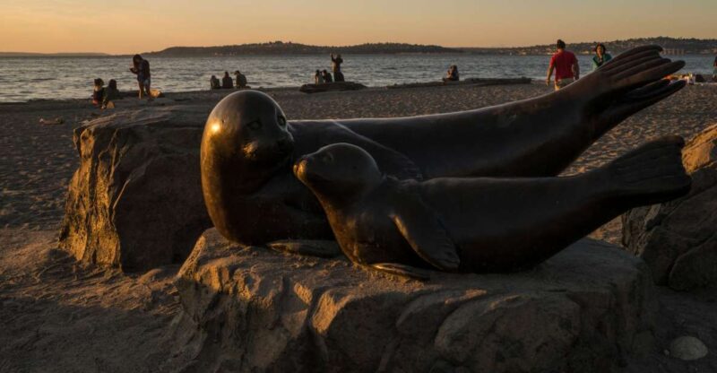 Seattle: Night Tour With Local Guide - Itinerary Highlights
