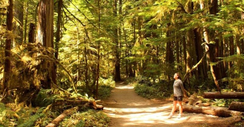Seattle: Olympic National Park Small-Group Tour - Itinerary Details